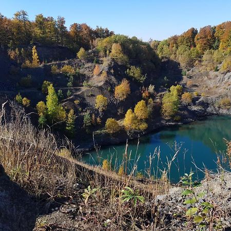 Апартаменти Leimbach Бад-Брюккенау Екстер'єр фото
